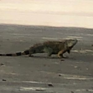 Meet your Posher, Neida